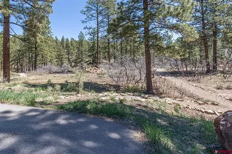 97 Canyon Pnes, Durango, CO 81301 photo 3
