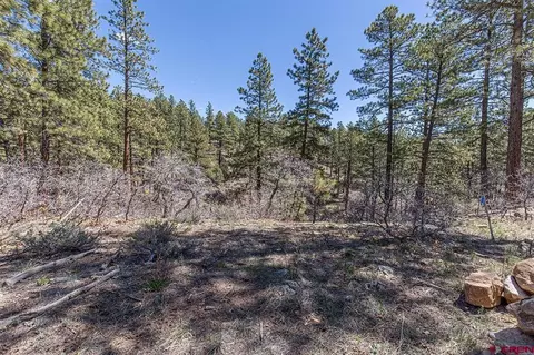97 Canyon Pnes, Durango, CO 81301 photo 4