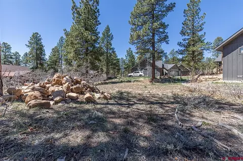 97 Canyon Pnes, Durango, CO 81301 photo 6