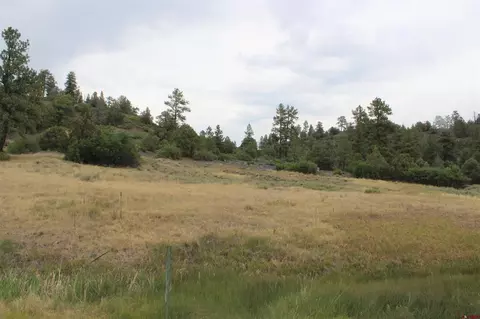 121 Elbert Pl, Pagosa Springs, CO 81147