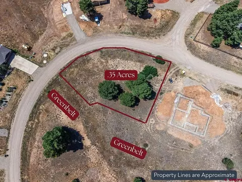 317 Domicile Cir, Pagosa Springs, CO 81147