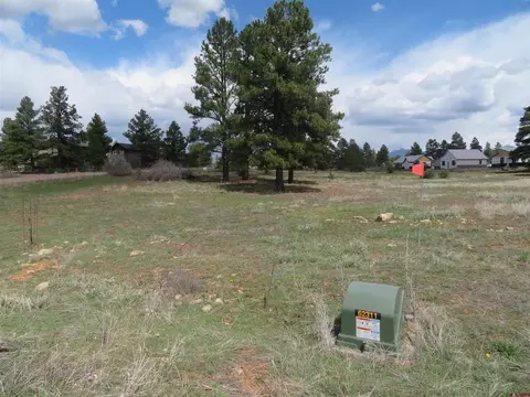317 Domicile Cir, Pagosa Springs, CO 81147