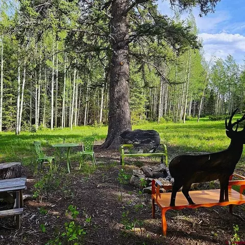 200 Hazel Lake Dr, Cimarron, CO 81220
