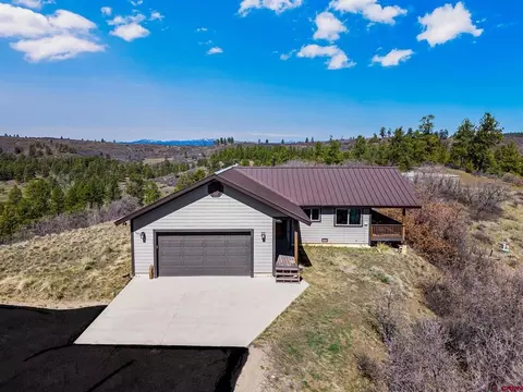 317 Clint Cir, Pagosa Springs, CO 81147