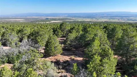 246 La Mesa Vista Dr, Norwood, CO 81423