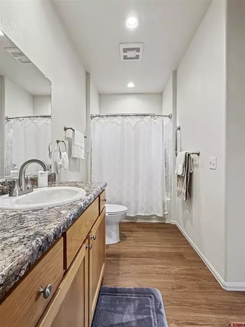 Bath - 1505 SE Stonebridge Dr, Cedaredge, CO 81413 photo 4 of 6
