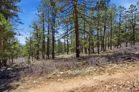 57 Wild Turkey Ln, Bayfield, CO 81122