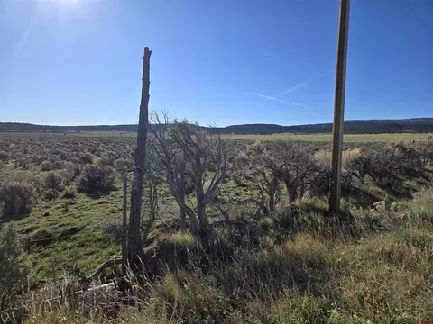 tbd 16 12 Rd, Glade Park, CO 81523