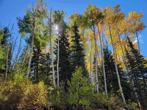 176 Engineer Dr, Durango, CO 81301 photo 7