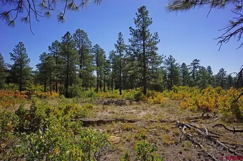 5 Road T7, Mancos, CO 81328