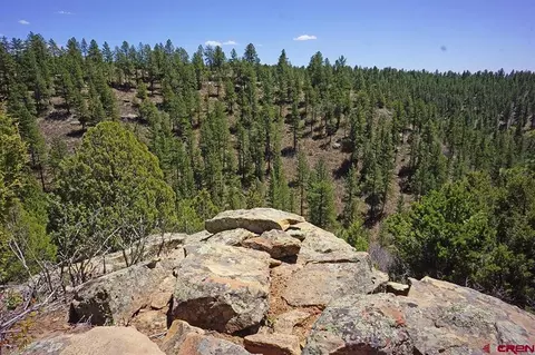 6 Tbd Road T7, Mancos, CO 81328