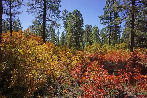 7 Road T7, Mancos, CO 81328
