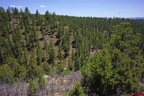 11 Tbd Road 371, Mancos, CO 81328