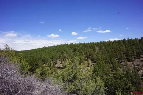 3 Tbd Road 365, Mancos, CO 81328