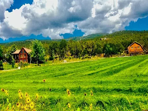Exterior - 19795 High Park Rd, Cedaredge, CO 81413 photo 5 of 5