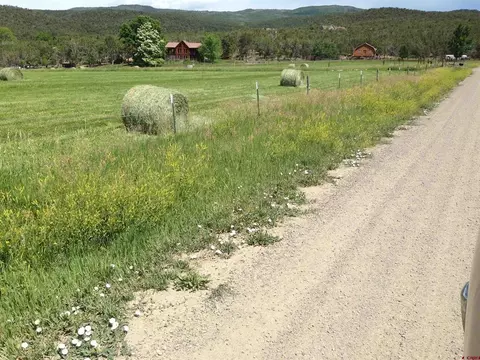Other - 19795 High Park Rd, Cedaredge, CO 81413 photo 8 of 16