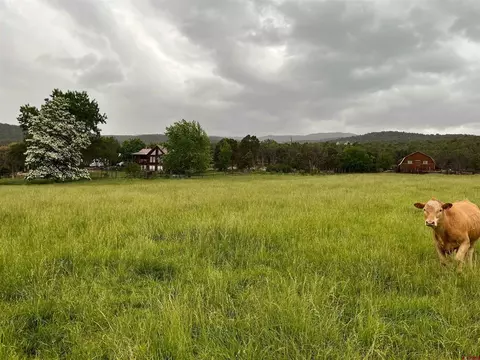 Other - 19795 High Park Rd, Cedaredge, CO 81413 photo 9 of 16