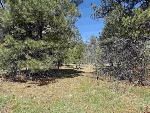 33 Granite Ct, Pagosa Springs, CO 81147