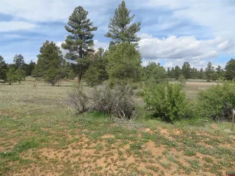 97 81 Eldorado Street 157 Landau Dr, Pagosa Springs, CO 81147
