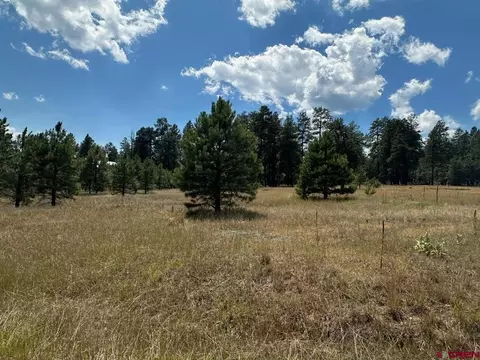 272 Hills Cir, Pagosa Springs, CO 81147
