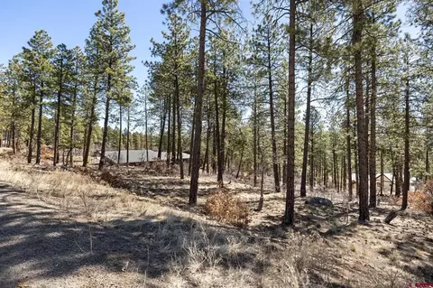 192 Cabin Creek Dr, Durango, CO 81301 photo 9