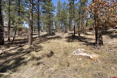 192 Cabin Creek Dr, Durango, CO 81301 photo 5