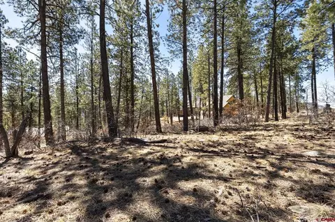 192 Cabin Creek Dr, Durango, CO 81301 photo 10