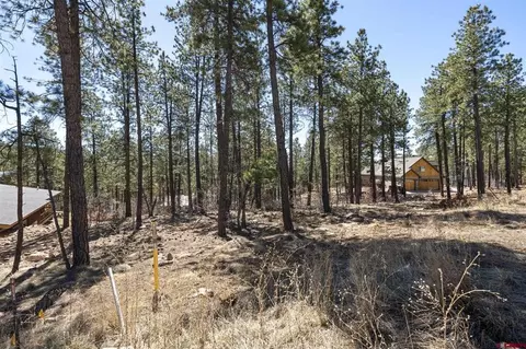 192 Cabin Creek Dr, Durango, CO 81301 photo 11