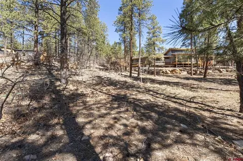 192 Cabin Creek Dr, Durango, CO 81301 photo 8