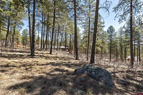 192 Cabin Creek Dr, Durango, CO 81301 photo 6
