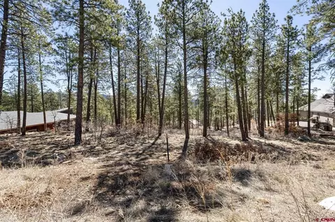 192 Cabin Creek Dr, Durango, CO 81301 photo 4