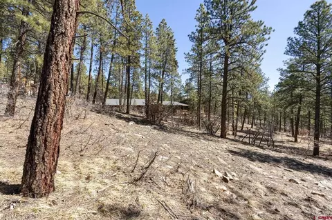 192 Cabin Creek Dr, Durango, CO 81301 photo 7
