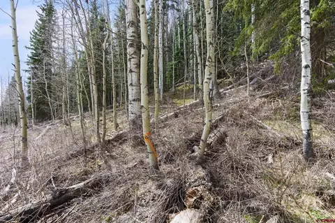 49 Meadow Cir, Durango, CO 81301 photo 11