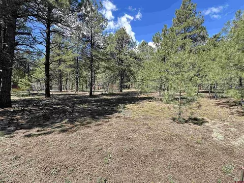 39 W Nebo Ct, Pagosa Springs, CO 81147
