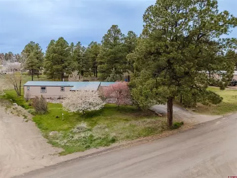 224 Fireside St, Pagosa Springs, CO 81147