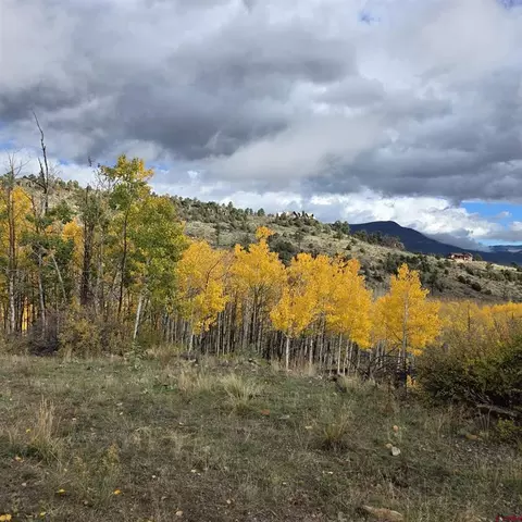302 Rickel Cir, South Fork, CO 81154