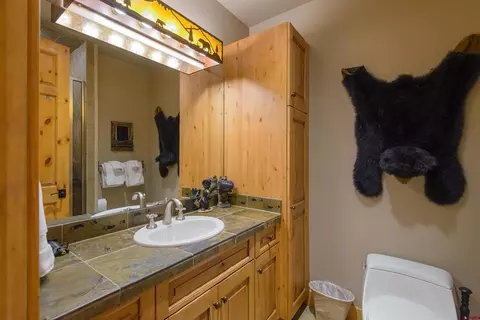 Bath - 16 Snowmass Rd #7, Crested Butte, CO 81225 photo 1 of 8
