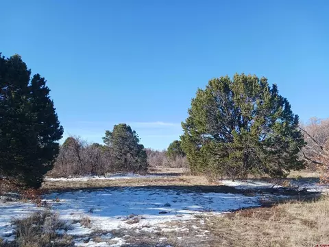 tbd N Avalon Dr, Norwood, CO 81423