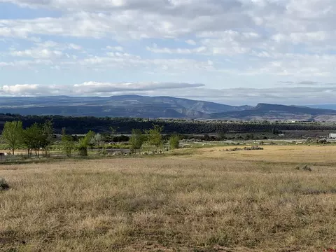 View/Area - 15887 Stardust Ln, Cedaredge, CO 81413 photo 1 of 1