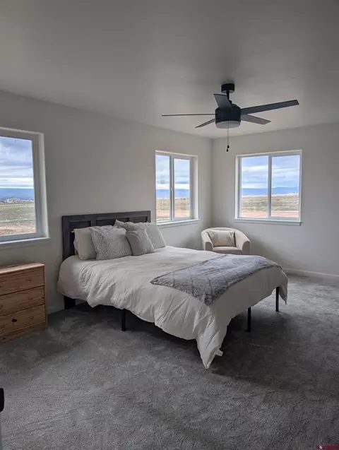 15887 Stardust Ln, Cedaredge, CO 81413 photo 5