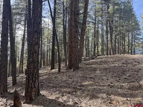 217 Pine Top Dr, Bayfield, CO 81137