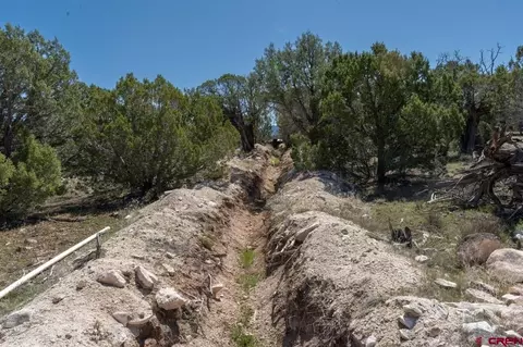 tbd T Rd, De Beque, CO 81630 photo 21