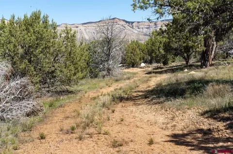 tbd T Rd, De Beque, CO 81630 photo 13