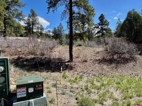 24 Bell Flower Ct, Durango, CO 81301 photo 10