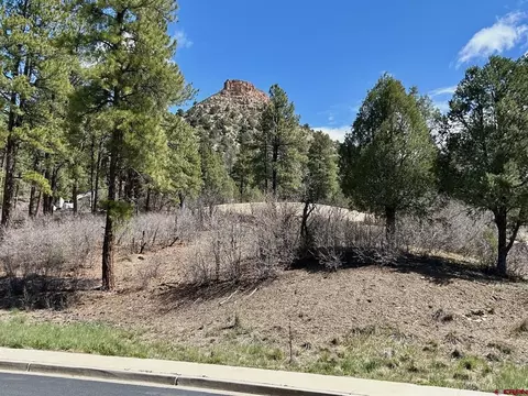 24 Bell Flower Ct, Durango, CO 81301 photo 11