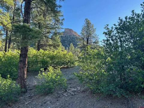 24 Bell Flower Ct, Durango, CO 81301 photo 2