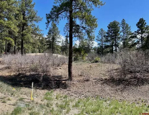 24 Bell Flower Ct, Durango, CO 81301 photo 8