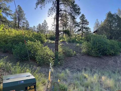 24 Bell Flower Ct, Durango, CO 81301 photo 6