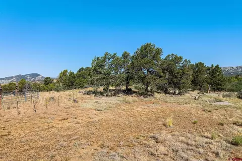 569 Cr 233, Durango, CO 81301 photo 19