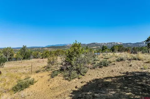 569 Cr 233, Durango, CO 81301 photo 18
